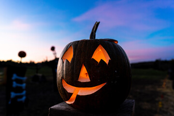 Pumpkin On Fence In Field