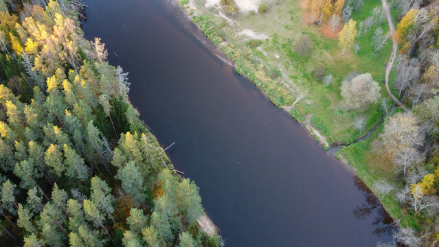 Abstract Top-Down Aerial View of a River and Pine Forest