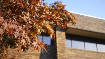 Autumn Leaves Blowing Outside of Corporate Building 2