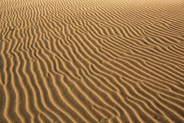 Abstract Sand Ripples and Waves Texture in Desert Dune