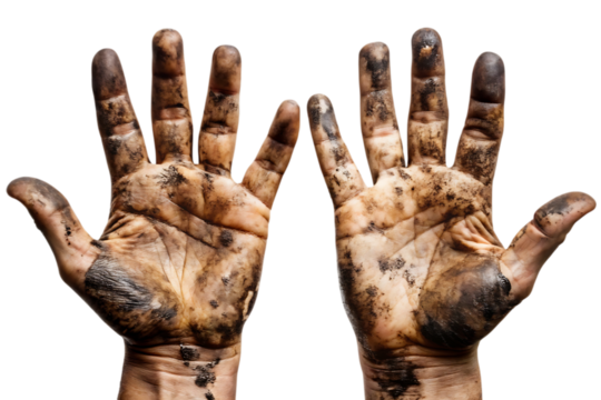 Pair of Hands Raised and Covered in Dirt and Mud, a Cutout, PNG Isolated on a Transparent Background