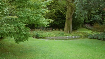 Soft blurred scene with shallow bokeh and defocused green foliage around a small pond, garden; background backdrop copyspace calm.