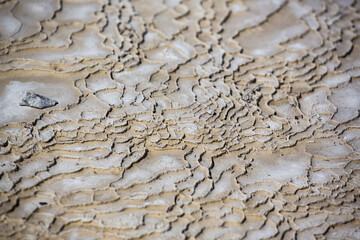 Geothermal Silica Sinter Terrace Texture Detail