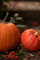 Two orange pumpkins on outdoor stone steps surrounded by green leaves. Autumn still life symbolizing fall, harvest, Thanksgiving, and Halloween atmosphere.
