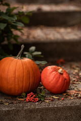 Two orange pumpkins on outdoor stone steps surrounded by green leaves. Autumn still life symbolizing fall, harvest, Thanksgiving, and Halloween atmosphere.