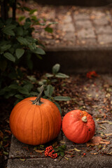 Two orange pumpkins on outdoor stone steps surrounded by green leaves. Autumn still life symbolizing fall, harvest, Thanksgiving, and Halloween atmosphere.