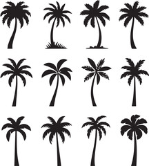 Fototapeta premium Palm Trees Silhouette Collection Vector Illustration