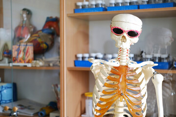 Educational skeleton model wearing sunglasses stands in a classroom laboratory, surrounded by anatomical models and study materials, illustrating the concept of anatomy education