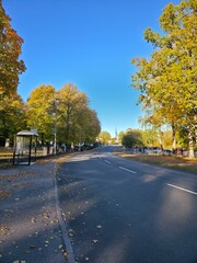 Obraz premium autumn in the park