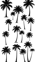 Silhouettes of various palm trees (2)