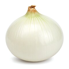 Single white onion close-up