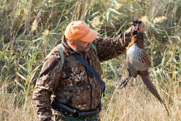 A hunter holds a pheasant in his hands. A successful hunt, a trophy game.