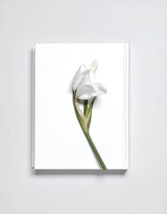 White flower on a white book (1)
