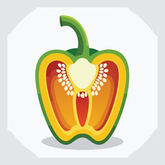 Cross-Sectional View of a Colorful Bell Pepper