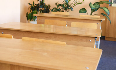 Classroom setting with wooden desks arranged neatly, surrounded by green plants, creating an inviting educational environment for students to learn and engage