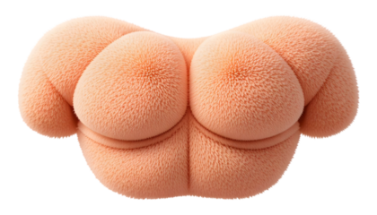 Abstract peach colored soft sculpture a fluffy and textured 3D render isolated on a white background