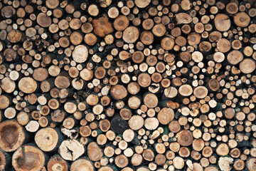 Natural wood texture background with various tree rings and copy space for design elements