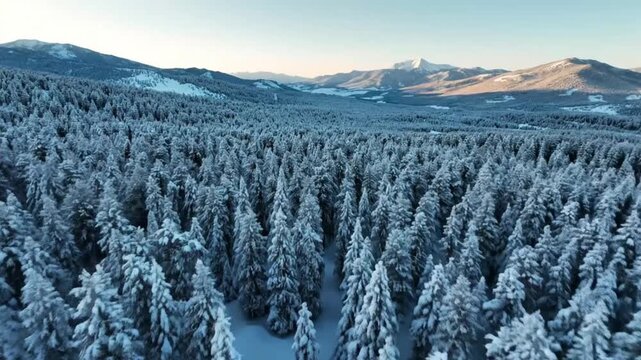 winter mountain landscape