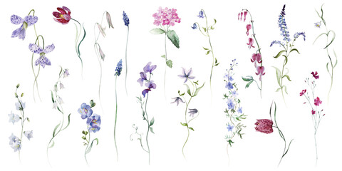 Watercolour floral illustration set. Burgundy flowers, maroon purple individual elements collection. Rose, peony, tulips, iris. Bouquets, wreaths, wedding invitations, anniversary, birthday, prints. 