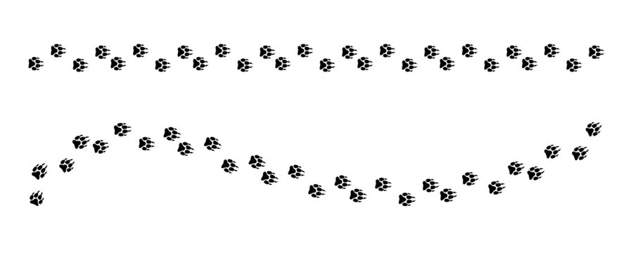 Vector illustration of wolf footprint and paw print tracks featuring black silhouettes perfect for wildlife, nature, animal, and adventure-themed designs.