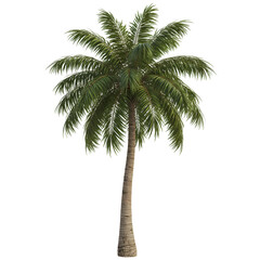 Fototapeta premium Vibrant, lush palm tree with textured trunk and full green fronds, perfect for tropical vacation and resort design projects