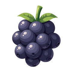 Blackberry Cluster Icon
