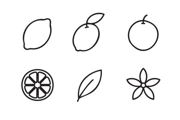 Black outline vector icons of citrus fruits and a flower with simple, minimalistic design elements.
