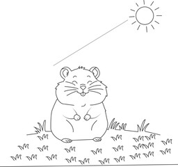 Cute Hamster Coloring Page for Kids and Adults | Printable Pet Line Art