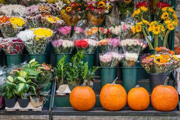 Pumpkins and flowers at the store