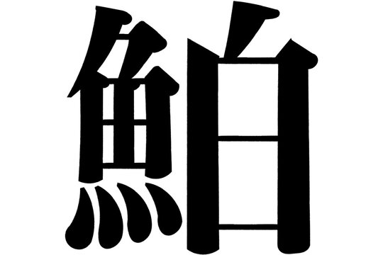鮊　白魚　しらうお