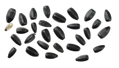 A scattering of dark, oval seeds on a black background, mostly black with one pale exception