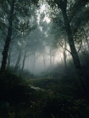 early morning mist shaping the outlines of woodland in a lush forest
