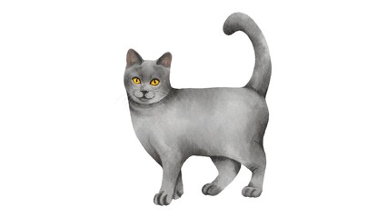 Realistic Watercolor Cat Art Adorable Kitten Illustration Animal Painting - 1