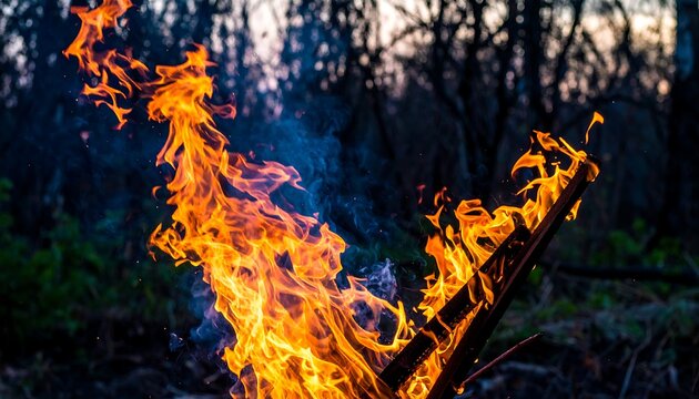 Flames lick a burning wooden stake amid dark woods