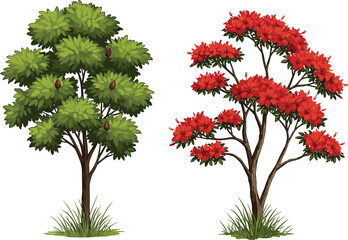 Green leafy tree, red flowering tree, botanical contrast, nature landscape, tropical garden, vibrant foliage, seasonal bloom, dual tree composition
