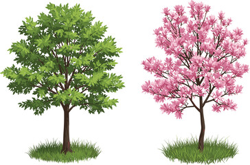 Green tree, pink blossom tree, spring foliage, flowering season, botanical contrast, deciduous trees, nature illustration, vibrant canopy, expressive trunks, lush vegetation © Shariyar Pantho