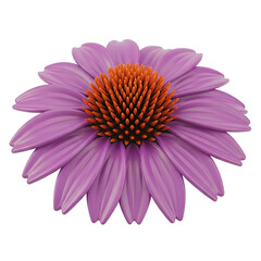 Exquisite Purple Echinacea Flower with Vibrant Orange Center on a Soft Lilac Gradient Background Featuring Subtle Sparkle Accents and a Delicate
