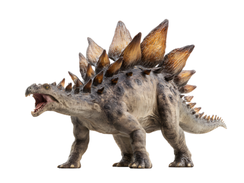 Majestic Stegosaurus dinosaur roaring, ancient reptile with iconic plates, prehistoric creature, detailed model