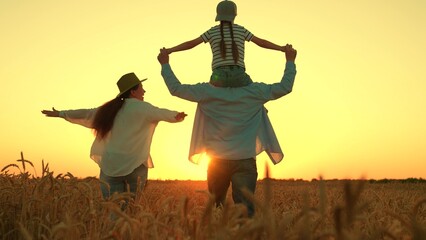 Dad mom, child daughter are walk through wheat field. Farming family with child is walking through wheat field. Girl is on her father's shoulders. Parents child are playing together, enjoying nature