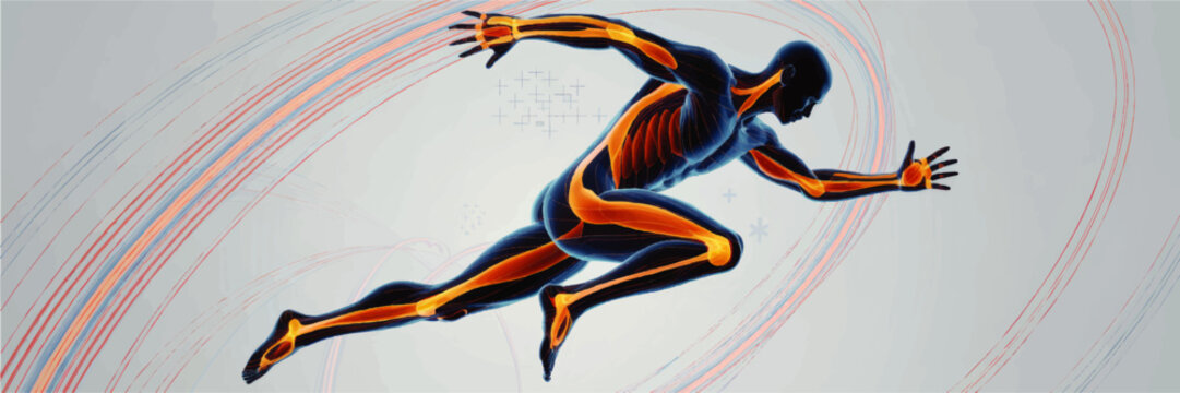 Dynamic Human Anatomy Runner Illustration &ndash; Muscles and Joints in Motion, Sports Science, Advanced Medical Concept Art