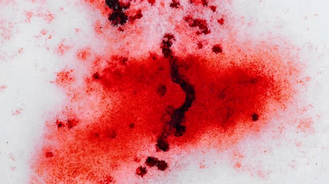 Blood dripping onto snow.view from above. Bloody trace on snow texture.Blood drops on snow. 4k footage