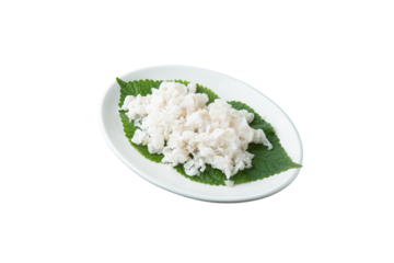 Hanchi sashimi on white plate in png file png 파일의 흰색접시 위에 있는 한치회