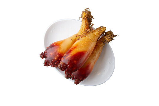 Sea squirts on white plates in png file png 파일의 흰색접시 위에 있는 멍게