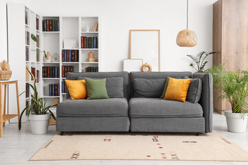 Interior of living room with sofa, houseplants and book shelf