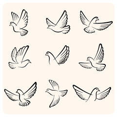 Set of Flying Dove and Pigeon Line Art Icons
