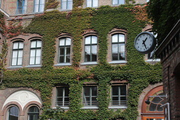 The brick faсade of the building, covered in ivy, is the premises of the WUK Cultural Center. Vienna, Austria, October 14, 2025.
