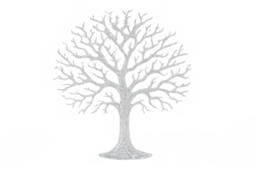 Bare tree silhouette drawn with white texture, depicting a winter or cold season motif. Transparent background