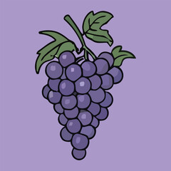 Bunch of purple grapes with green leaves on a lavender background.