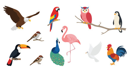 Birds Flat Vector Collection with Colorful Aves and Wildlife Animal Illustration