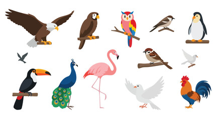 Flat Vector Bird Collection with Colorful Aves and Wildlife Animal Illustration